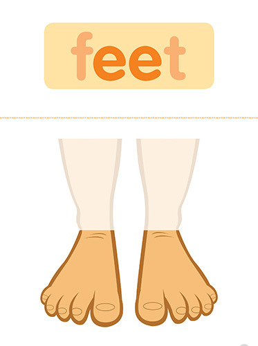 47 feet