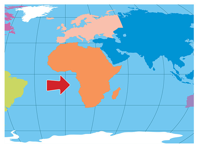 43 Africa