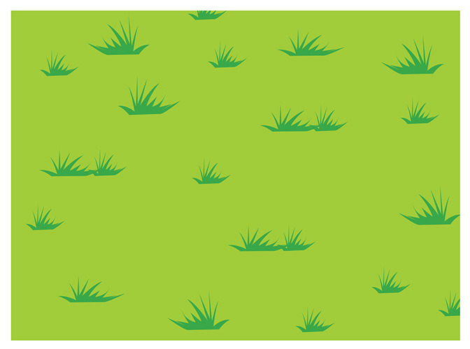 151 grass