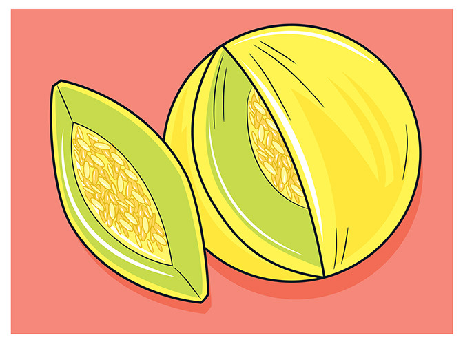 120 melon