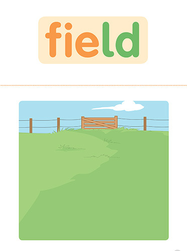 20 field
