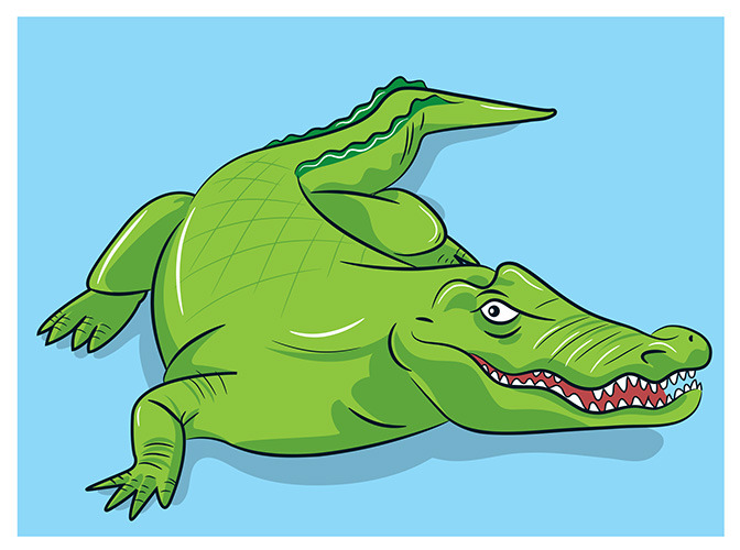 81 crocodile