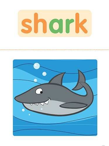 8 shark