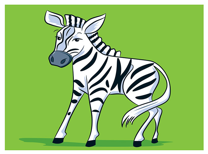 75 zebra