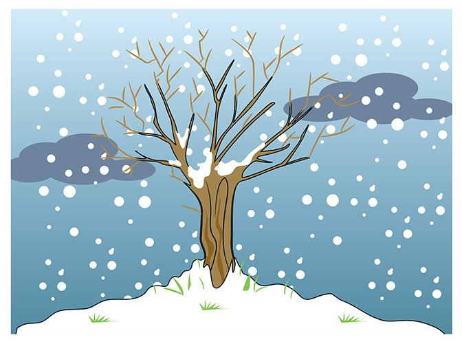 22 winter