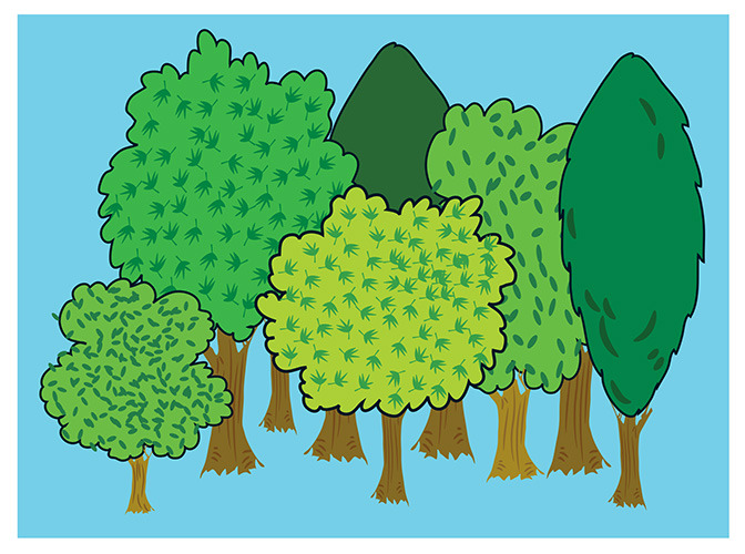 154 trees