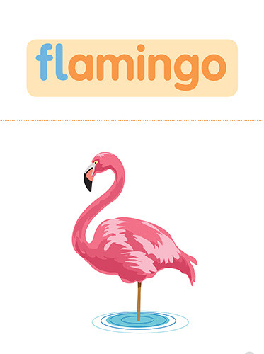 16 flamingo