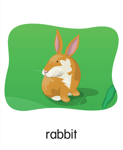 88 rabbit