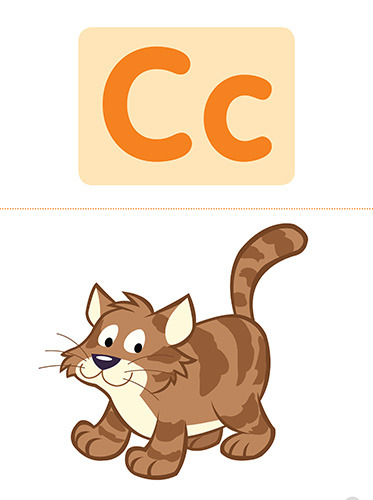 3 Cc cat