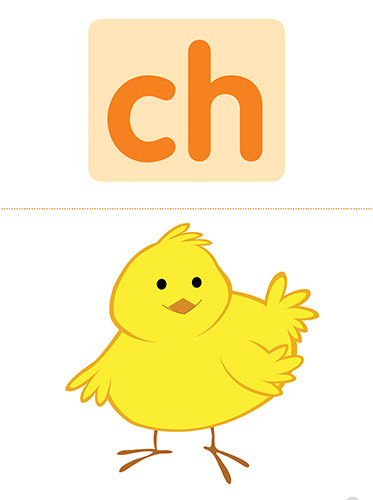 32 ch chick