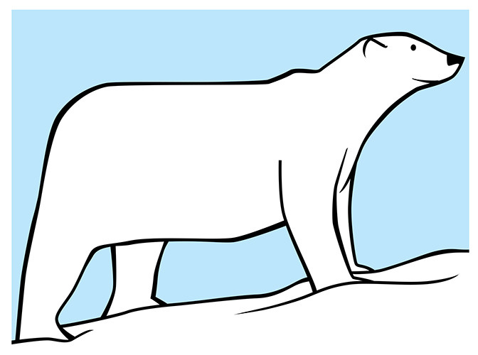 143 polar bear