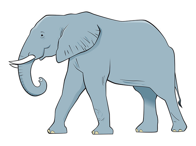 134 elephant