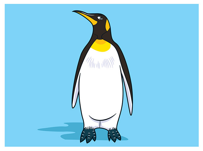 74 penguin