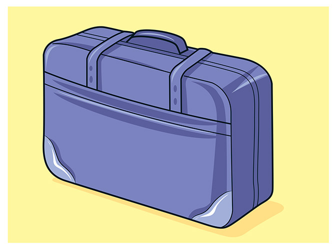 232 suitcase