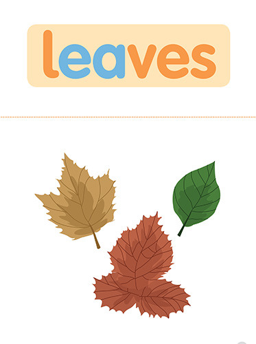 5 leaves