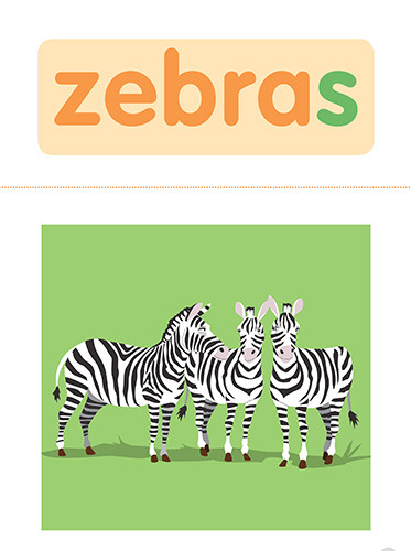 25 zebras