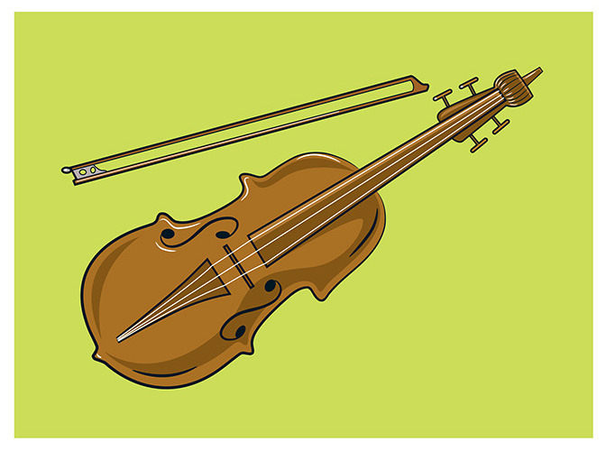 13 violin