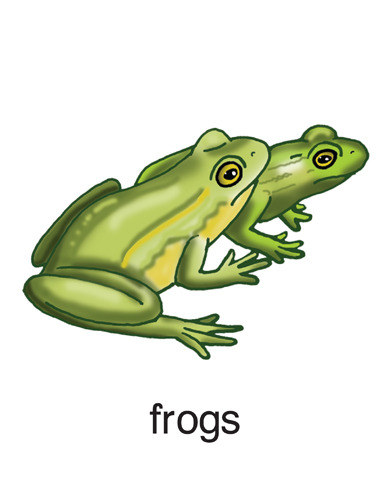 187 frogs