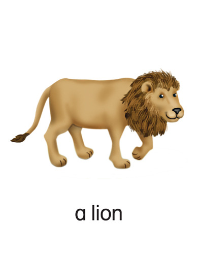 189 a lion