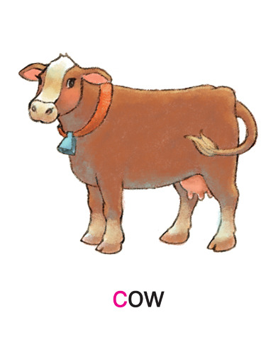 51 cow