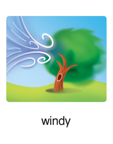 131 windy