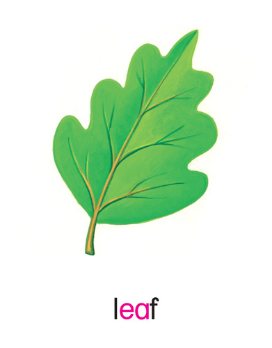 130 leaf