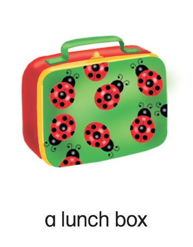 41 a lunch box