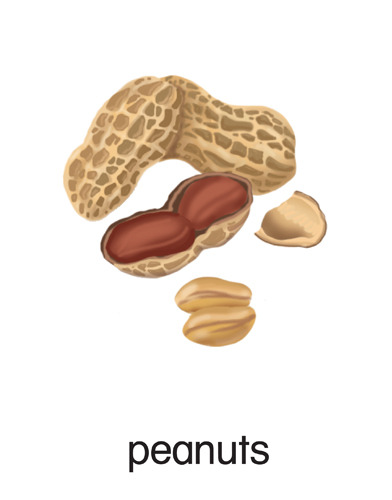 3 peanuts