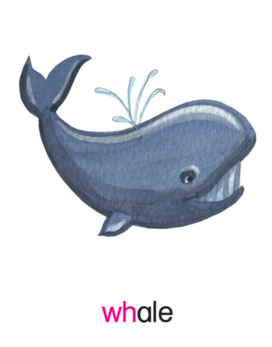 50 whale