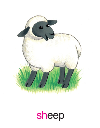 26 sheep