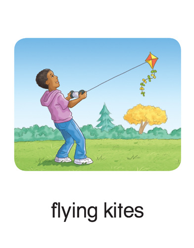 110 flying kites