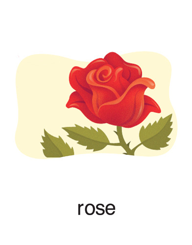 138 rose