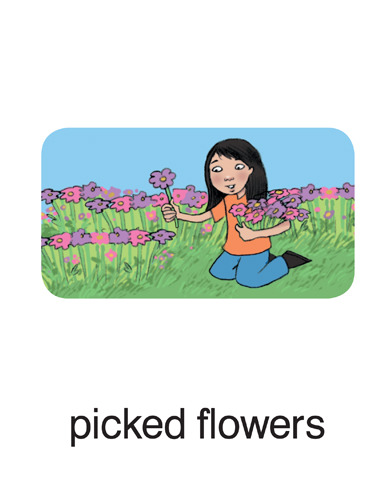 120 picked flowers