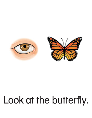 131 Look at the butterfly.