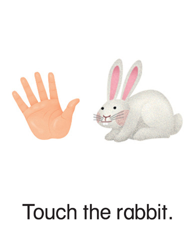 134 Touch the rabbit.