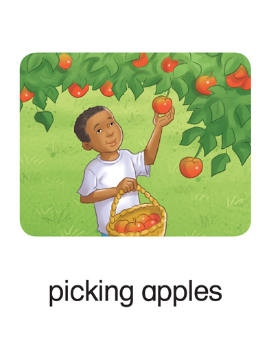 114 picking apples