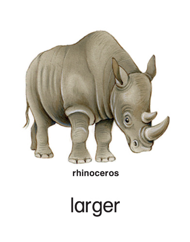 40 larger - rhinoceros