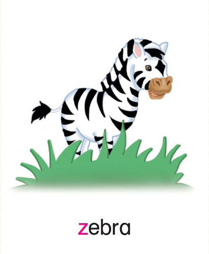 153 zebra