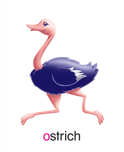 97 ostrich