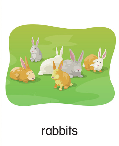 89 rabbits